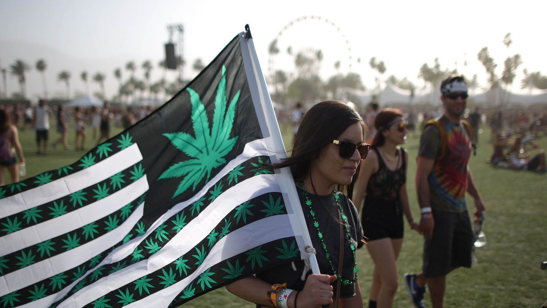 84% of 2024 Festival Attendees Plan to Take Drugs