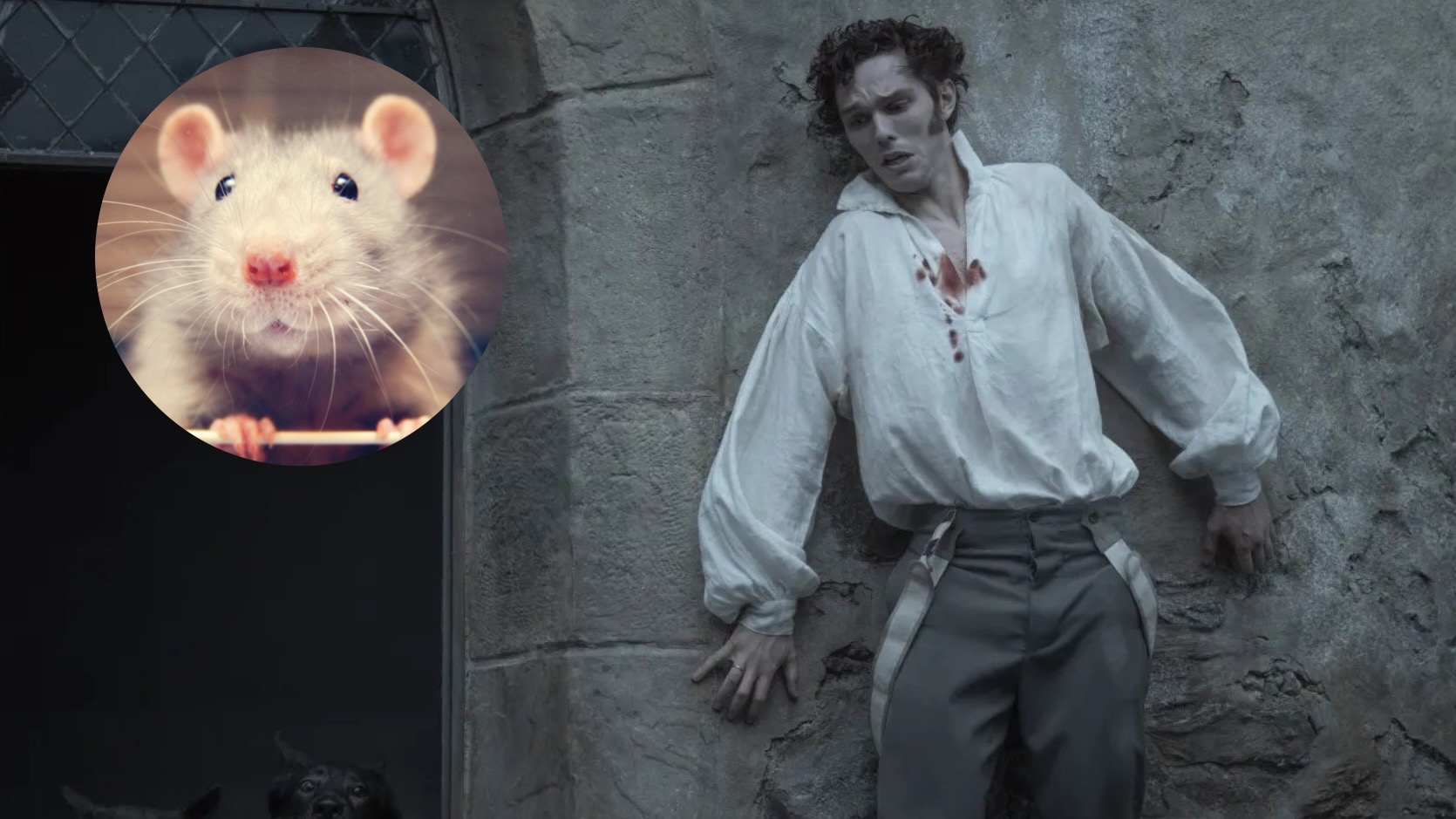 PETA proteste contre Nosferatu pour les « stéréotypes honteux » sur les rats